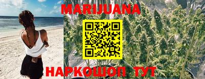 кокс Донской