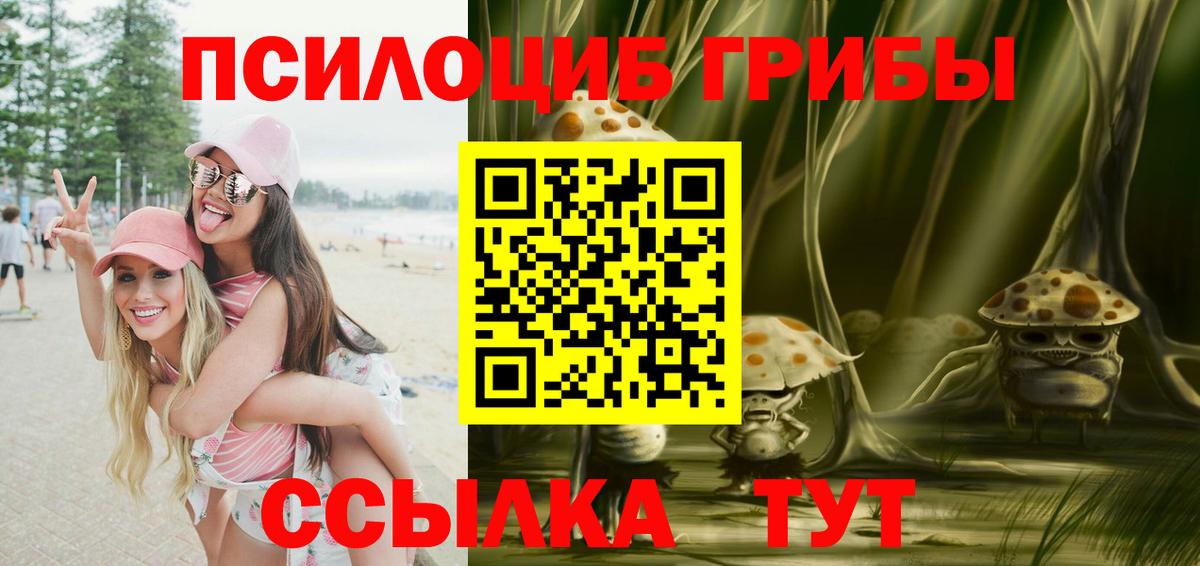 Галлюциногенные грибы GOLDEN TEACHER Мурманск