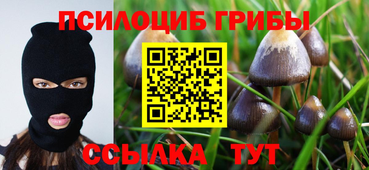 Галлюциногенные грибы Psilocybine cubensis  Вход с VPN  Мурманск 